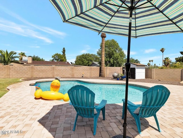 view of pool with a patio and a storage unit