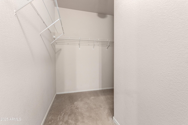 walk in closet featuring light carpet