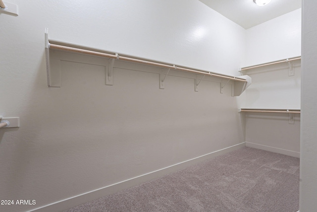 spacious closet featuring light carpet