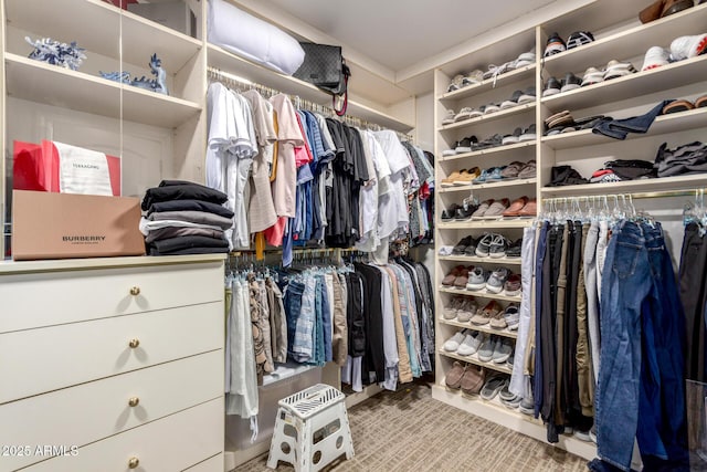 view of spacious closet