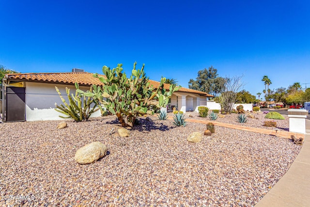 view of front of property with a tile roof and stucco siding