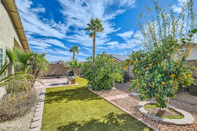 view of yard with a patio