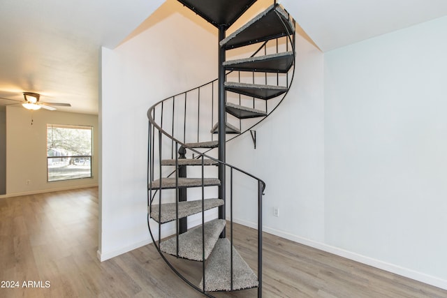 stairs featuring wood-type flooring and ceiling fan