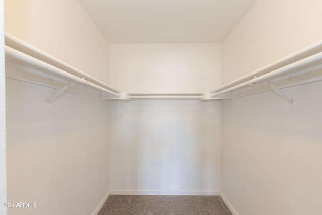 walk in closet featuring carpet floors