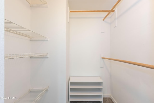 walk in closet with carpet flooring