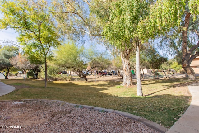 view of community featuring a lawn