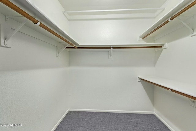 walk in closet with carpet floors