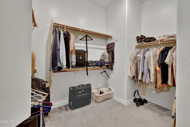 walk in closet featuring carpet flooring