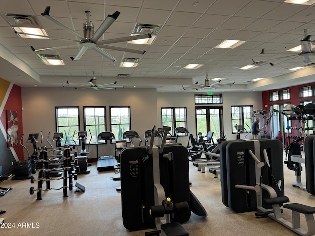 workout area with a drop ceiling and ceiling fan