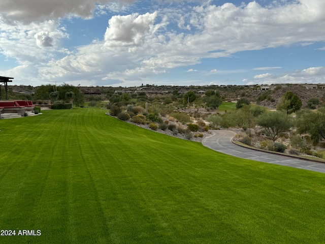 view of home's community featuring a yard