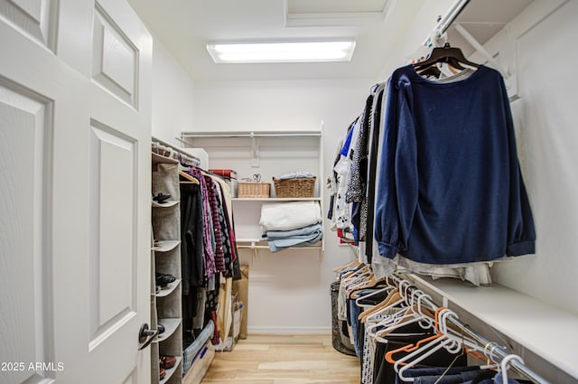 spacious closet featuring wood finished floors