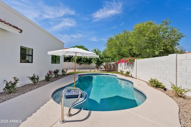 14401 N 60th Pl, Scottsdale, AZ 85254 - view of swimming pool with a fenced backyard
