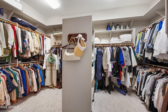 view of spacious closet