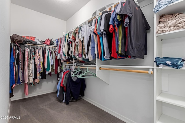 walk in closet with carpet