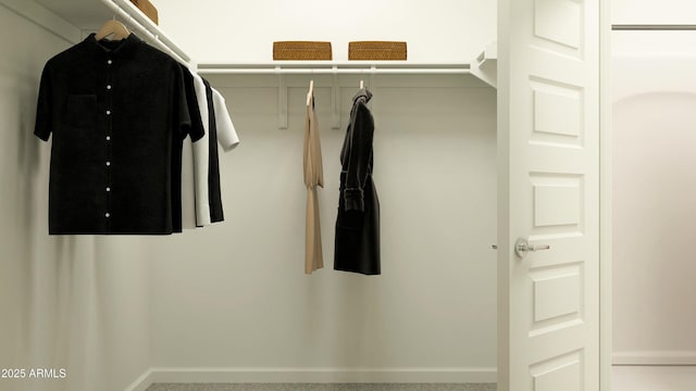 view of walk in closet