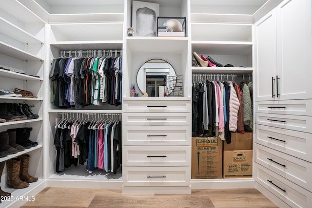 18125 W Montebello Ct Unit 67, Litchfield Park, AZ 85340 - view of closet
