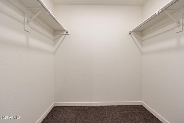 walk in closet featuring carpet floors