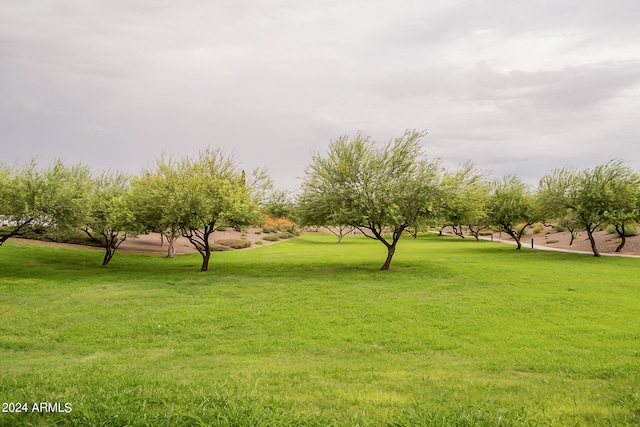 view of property's community with a lawn