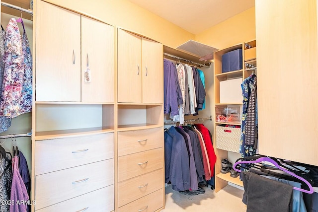 view of spacious closet