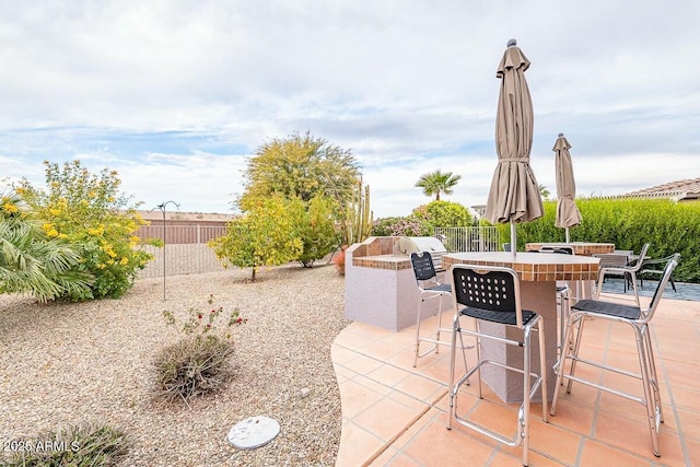 view of patio with exterior bar and exterior kitchen