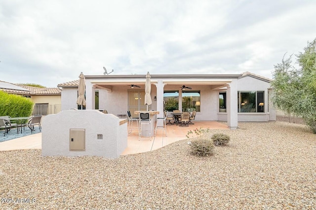 back of house featuring a patio and ceiling fan