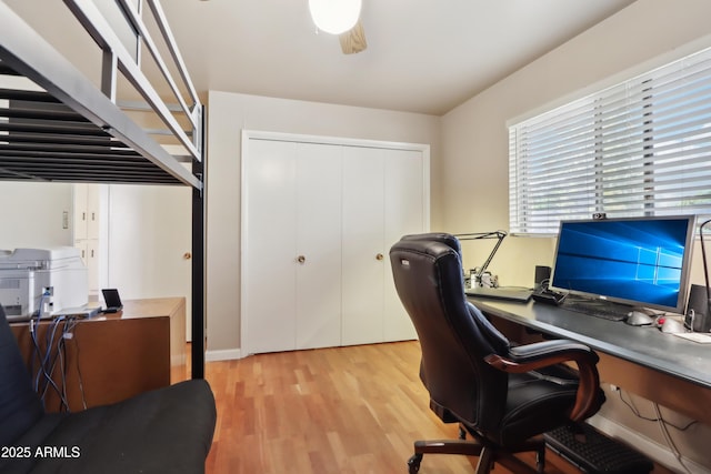 office area featuring ceiling fan and light hardwood / wood-style flooring