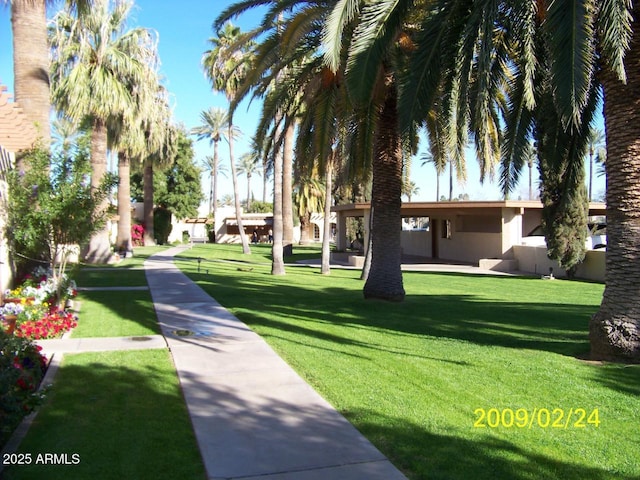 view of community featuring a yard