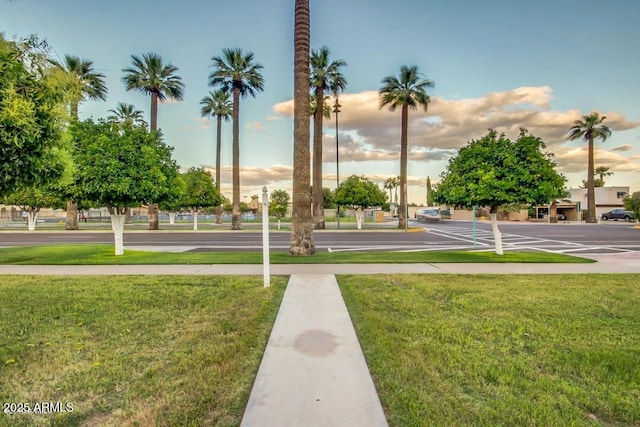 surrounding community featuring a lawn