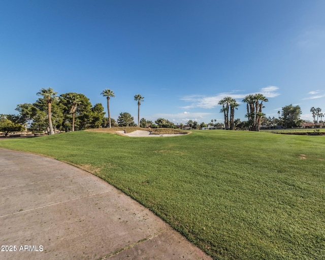 view of home's community with a lawn