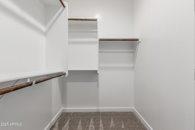 walk in closet with carpet