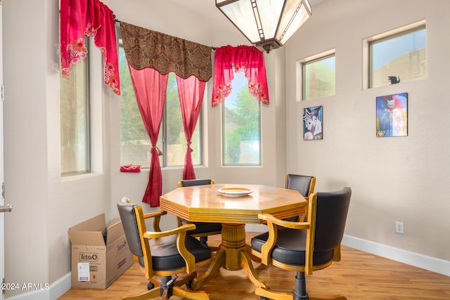 dining space featuring wood-type flooring and a wealth of natural light