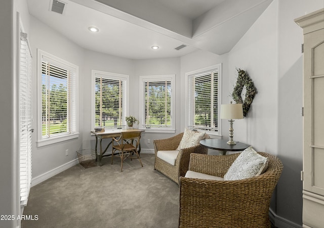2036 Bessie Kidd Best, Flagstaff, AZ 86005 - living area featuring baseboards, carpet, and recessed lighting