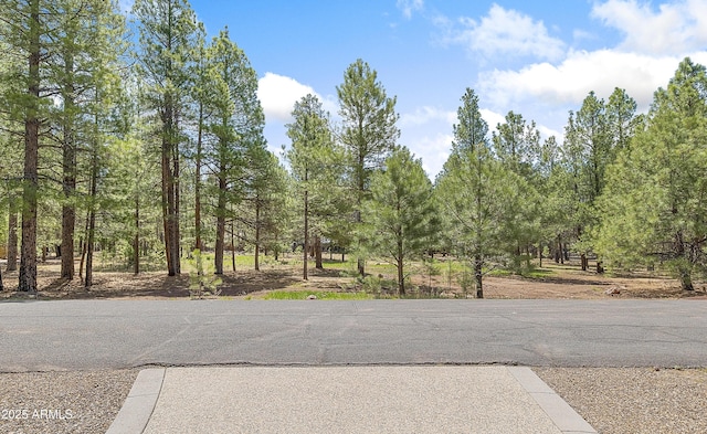 2036 Bessie Kidd Best, Flagstaff, AZ 86005 - view of asphalt road