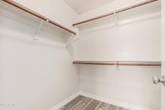 1968 E Emily Ln, Gilbert, AZ 85295 - spacious closet featuring light wood-style flooring