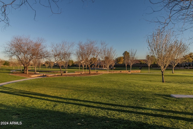 view of community featuring a lawn