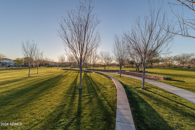 view of community with a lawn