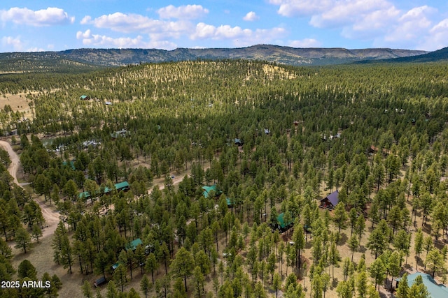 drone / aerial view with a wooded view and a mountain view