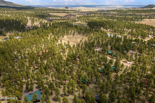 drone / aerial view with a water view and a wooded view