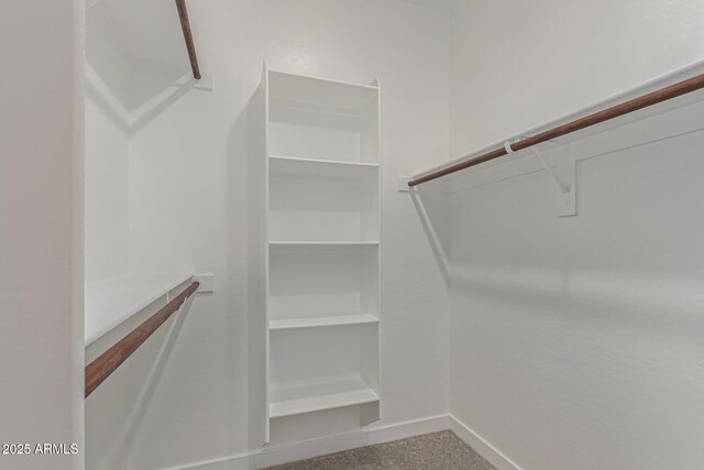 4371 E Enmark Dr, San Tan Valley, AZ 85143 - walk in closet featuring carpet flooring