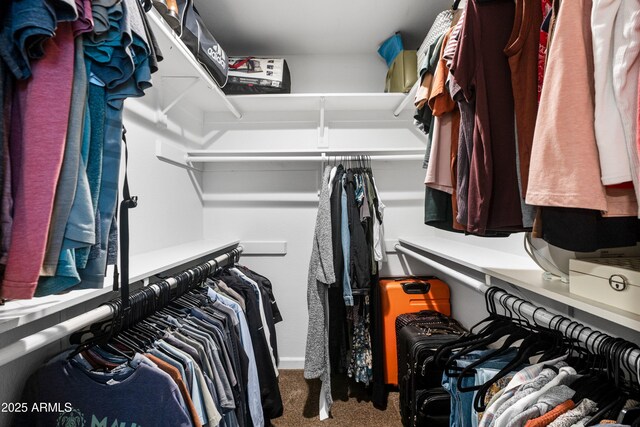 1408 N 62nd Pl, Mesa, AZ 85205 - walk in closet featuring carpet flooring