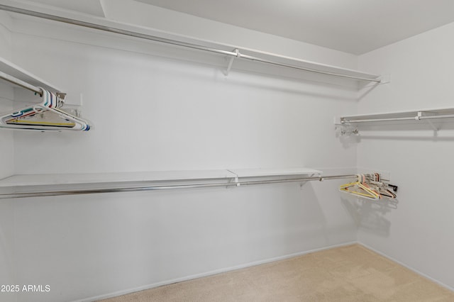 walk in closet with light colored carpet