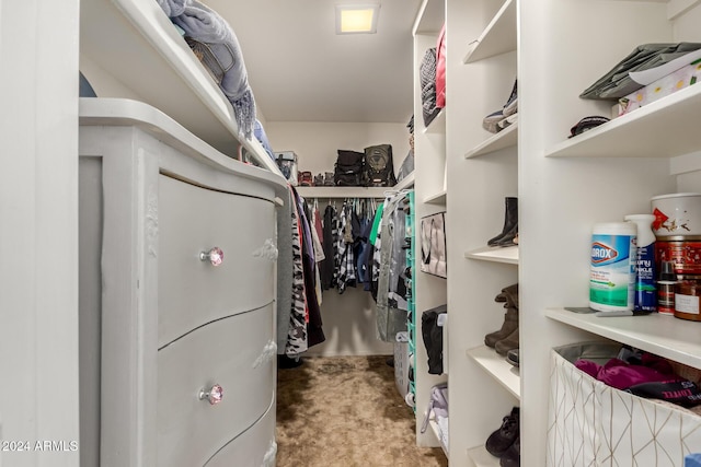 view of spacious closet