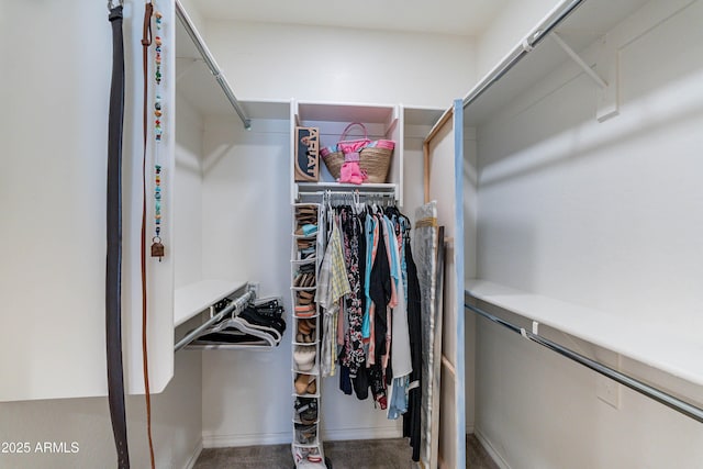view of walk in closet