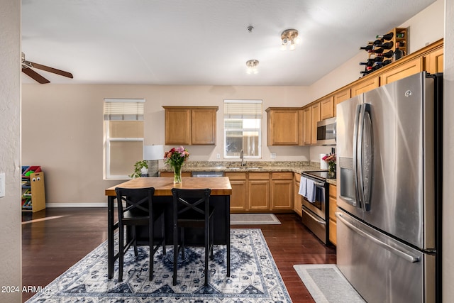 kitchen featuring stainless steel appliances, dark hardwood / wood-style floors, sink, and butcher block counters