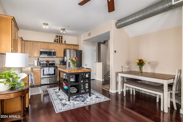 kitchen with dark hardwood / wood-style floors, ceiling fan, and stainless steel appliances