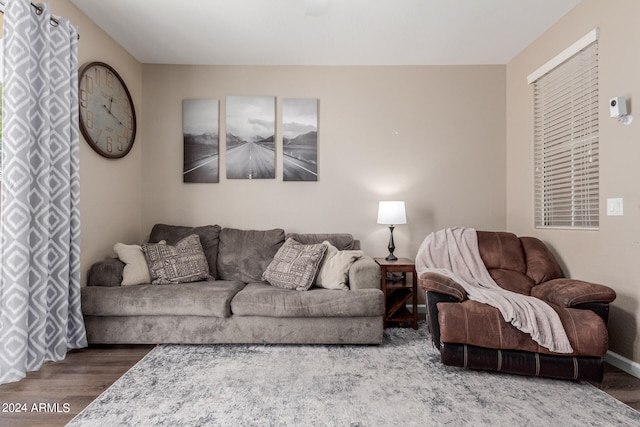 living room with hardwood / wood-style floors