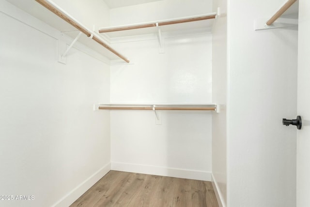 spacious closet featuring light hardwood / wood-style floors