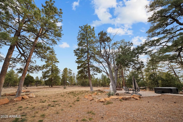 2702 Majestic Elk Rd, Overgaard, AZ 85933 - view of yard featuring a hot tub