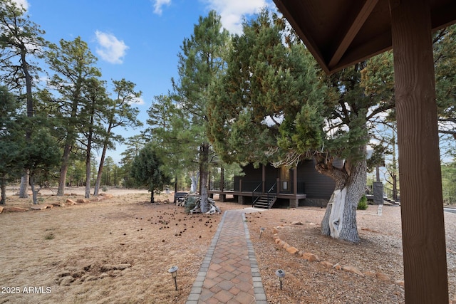 2702 Majestic Elk Rd, Overgaard, AZ 85933 - view of yard