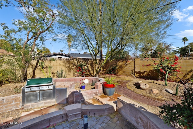 view of patio with grilling area and exterior kitchen